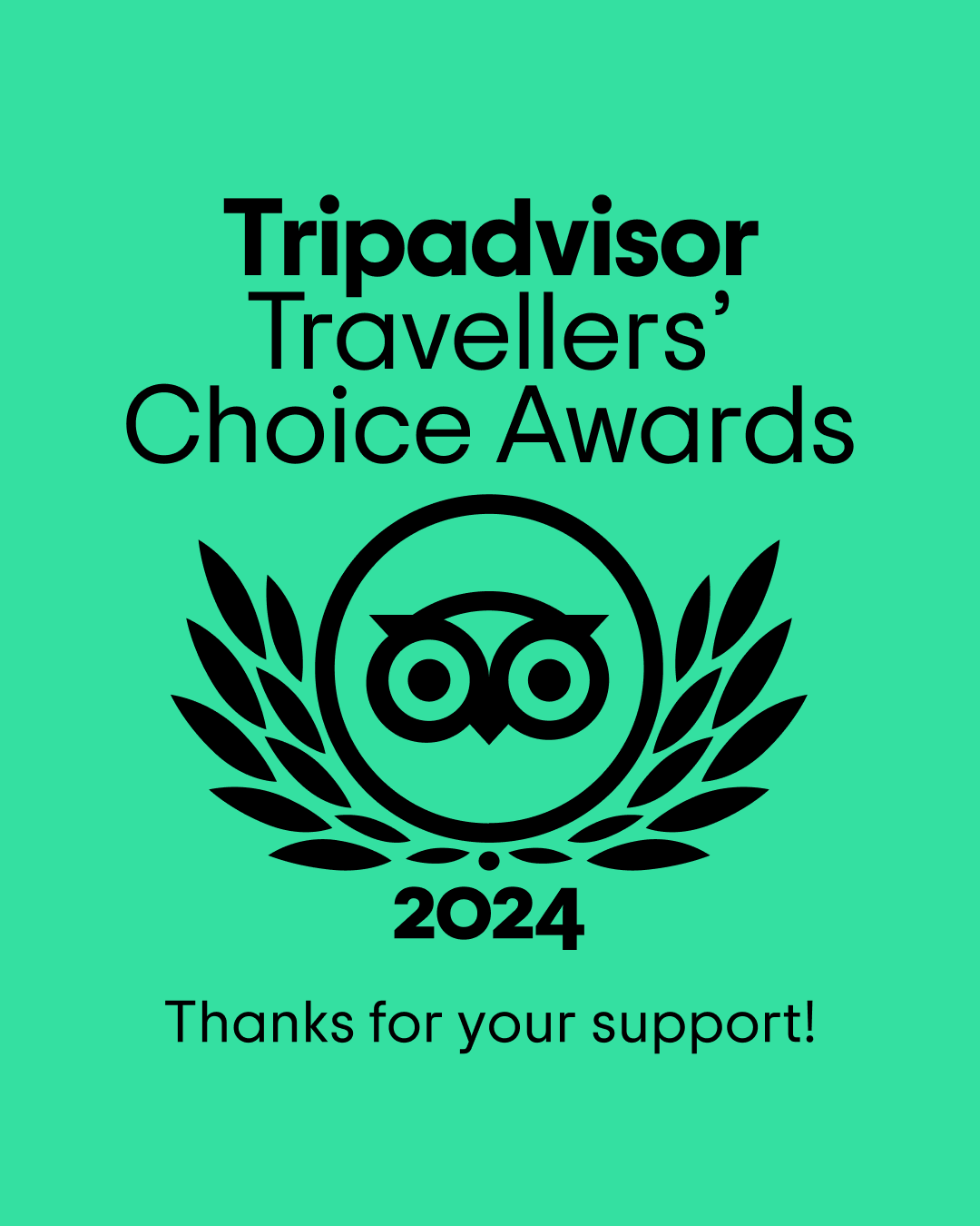 TripAdviser – Travellers Choice 2024 – lge TripAdviser - Travellers Choice 2024 - lge